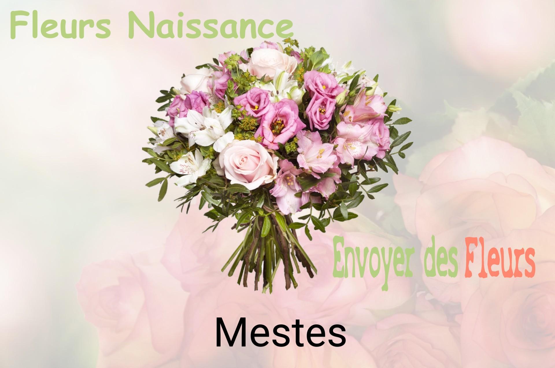 Bouquet de fleurs de naissance livré à Mestes