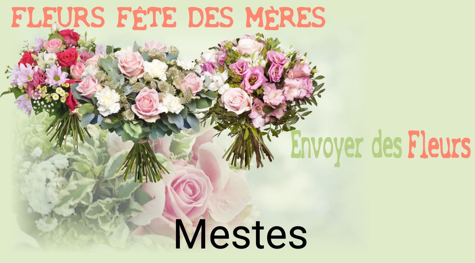 Bouquet de Fête des Mères livré à Mestes